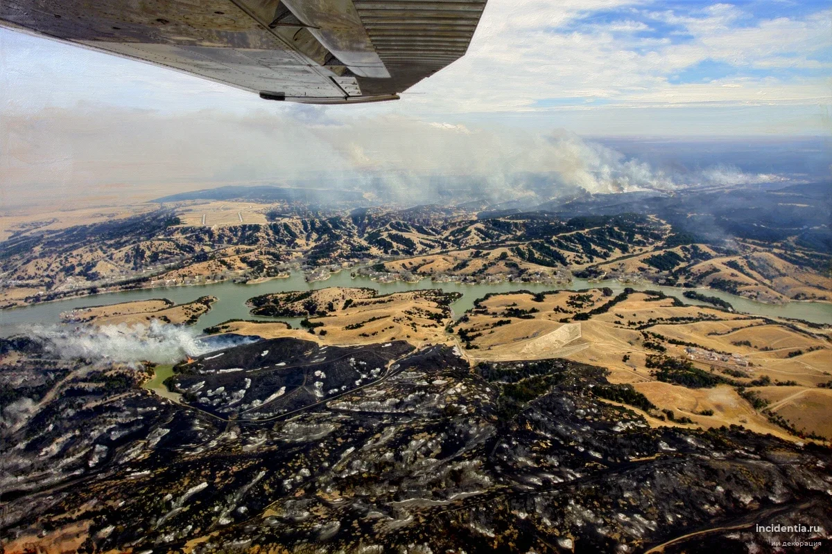 Миллион акров пепла: почему «мясной пояс» США превратился в кладбище для скота