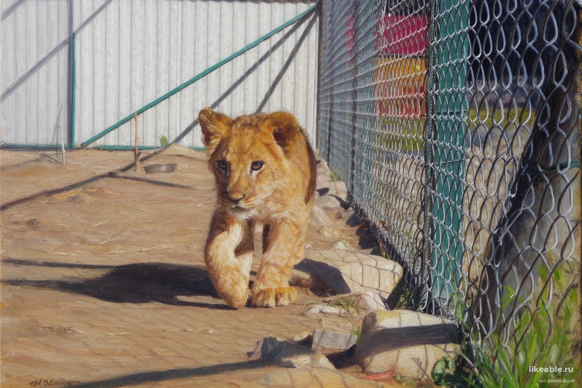 Фотосессия в Национальном цирке Каира закончилась для трехлетней девочки в реанимации