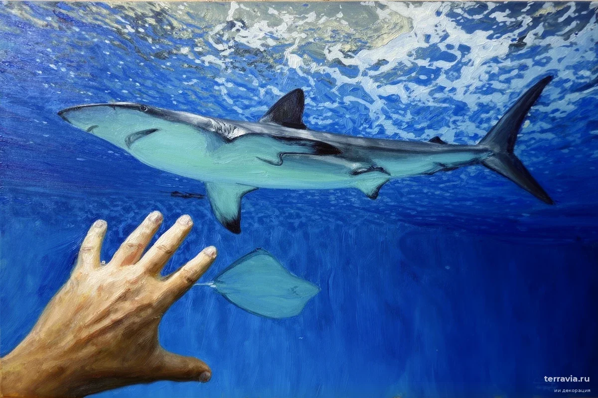 Медовый месяц на Мальдивах прервала акула: почему хищник выбрал именно это место для атаки